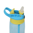 Transparent Water Bottle 480 ML, Set of 2