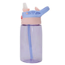 Transparent Water Bottle 480 ML, Set of 2