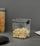 Food Preservative Container with airtight Lid, Set of 2