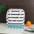 Stripe Design Heat Insulated Aqua Tiffin Bag Set of 2